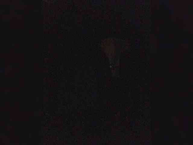 BonnieandClydeForever webcam