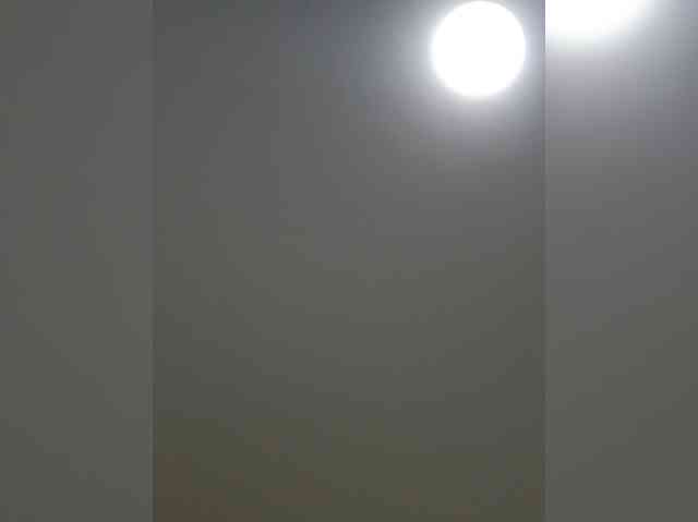 BonnieandClydeForever webcam