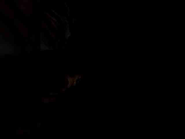 BonnieandClyde2026M webcam