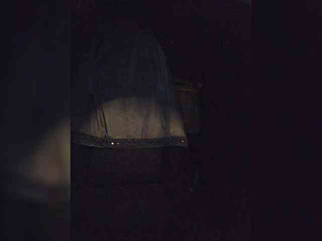 BonnieandClydeForever webcam