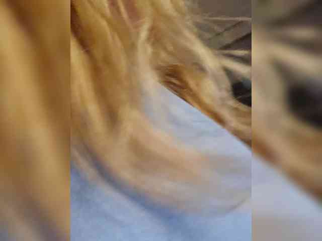 BonnieandClydeForever webcam