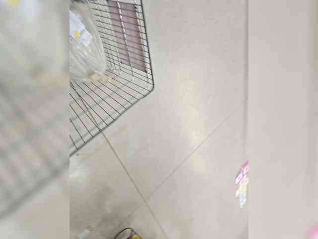 Model: BonnieandClyde2026M