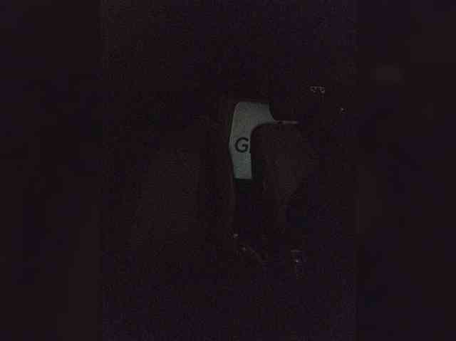 BonnieandClydeForever webcam