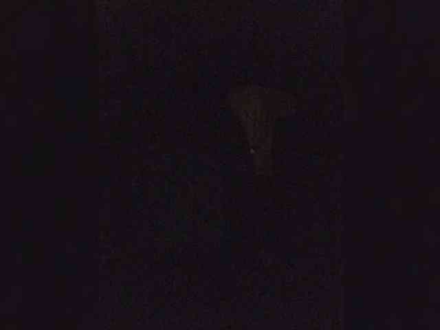 BonnieandClydeForever webcam