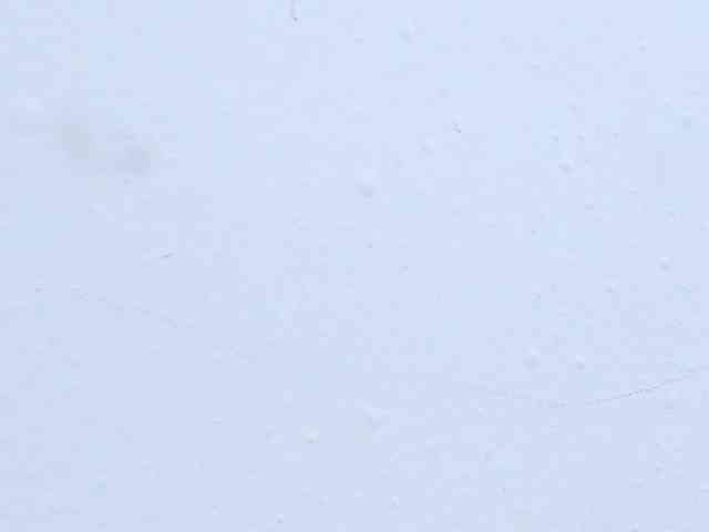 May-Clanfort webcam