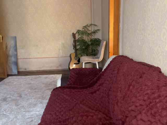GeneLaforce webcam