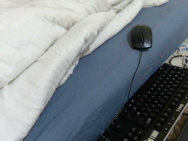 Velvetvixen-1 live cam on BongaCams