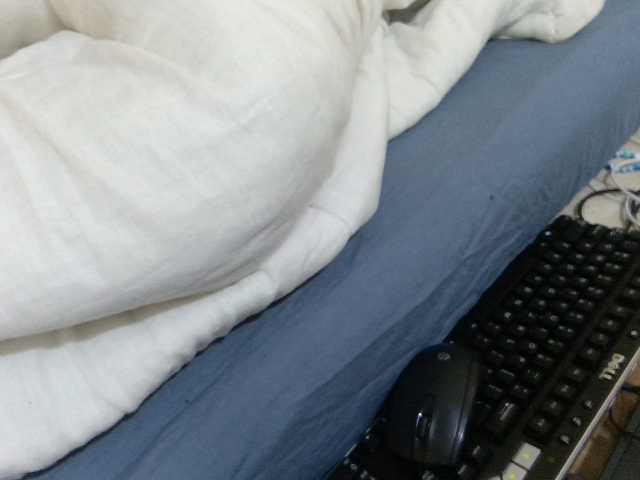 Velvetvixen-1 live cam on BongaCams