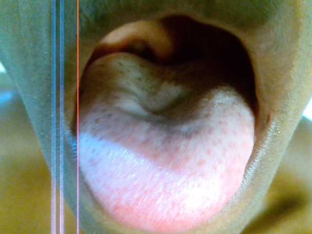 Velvetvixen-1 live cam on BongaCams