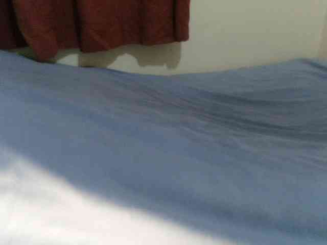 Velvetvixen-1 webcam