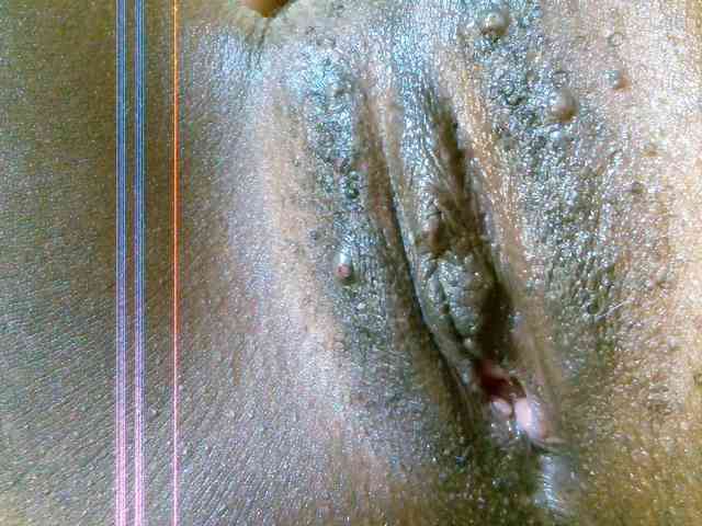 Velvetvixen-1 webcam