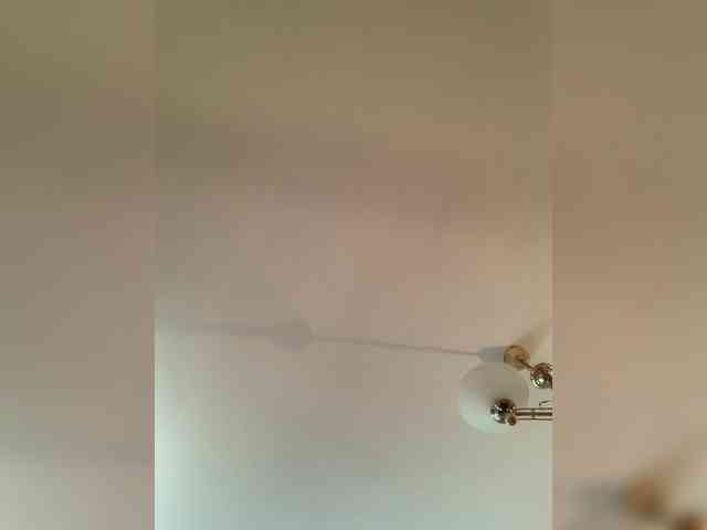 yourAmi webcam