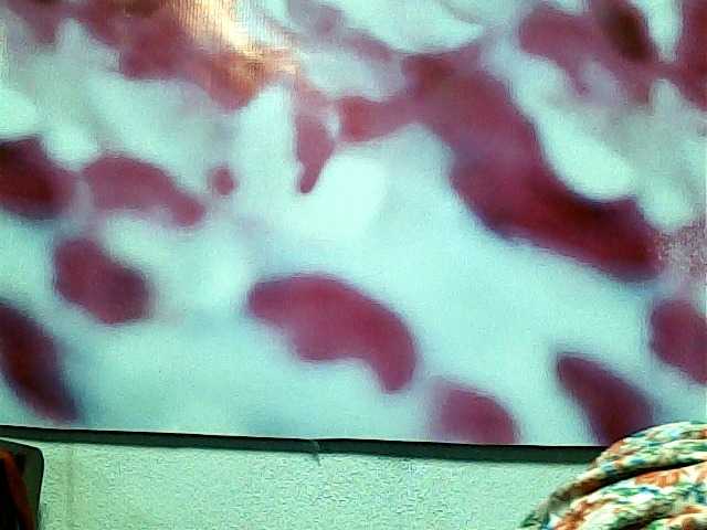 SarahHot live cam on BongaCams