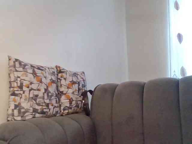 PetiteDivah24 webcam