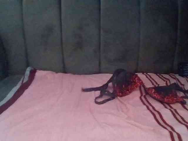 PetiteDivah24 webcam