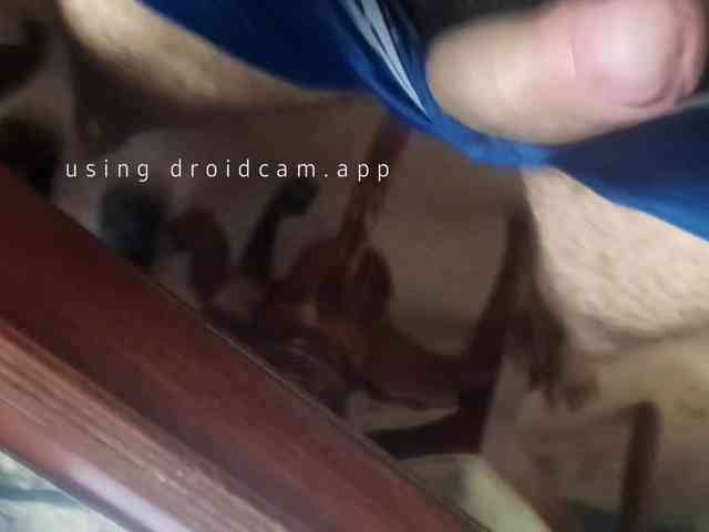 ray09767