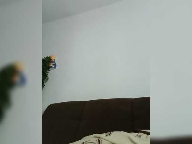 Florincristinel