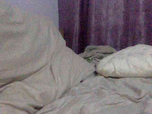Anna86-2 webcam