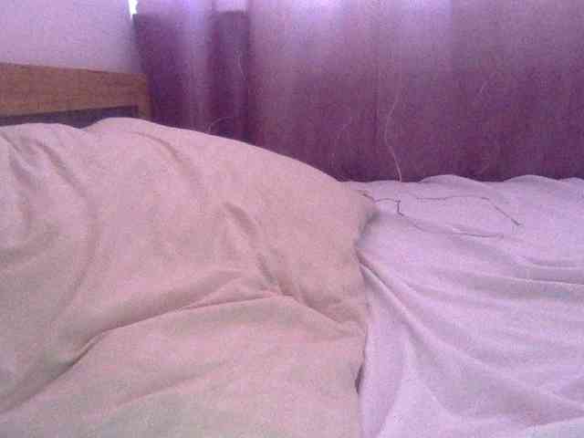 Anna86-2 webcam