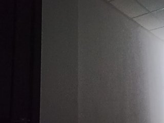 EK25 Porn Show