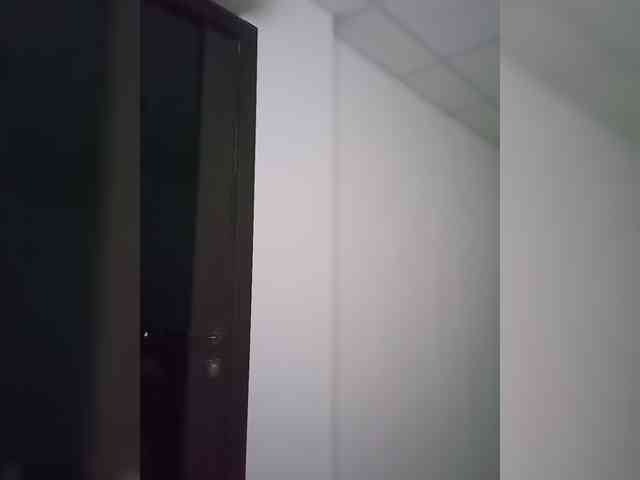 EK25 webcam