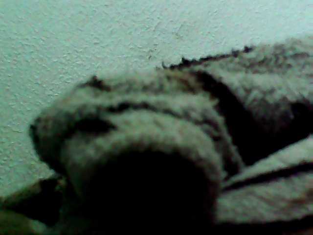 Cristalvip