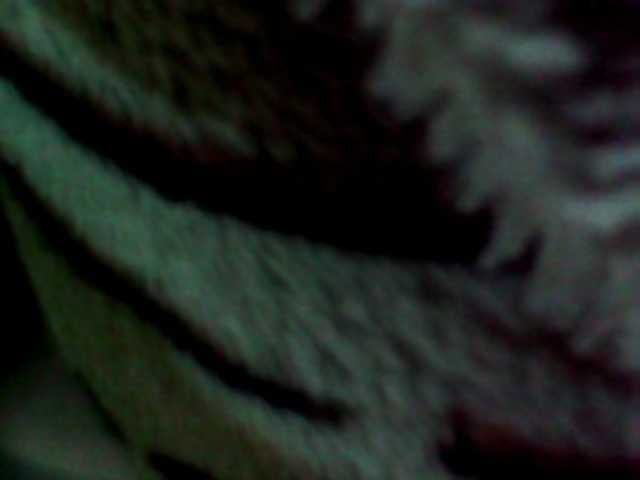 Cristalvip