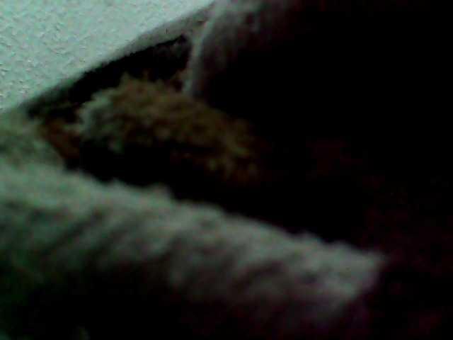 Cristalvip