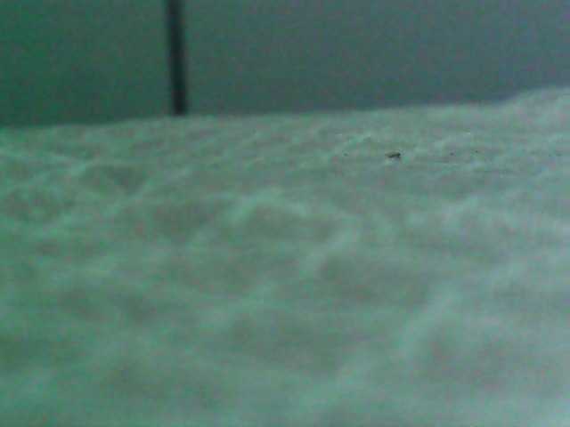 Cristalvip live cam preview