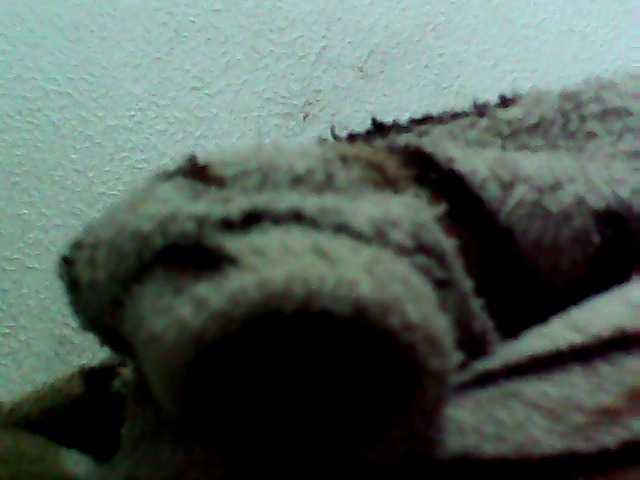 Cristalvip
