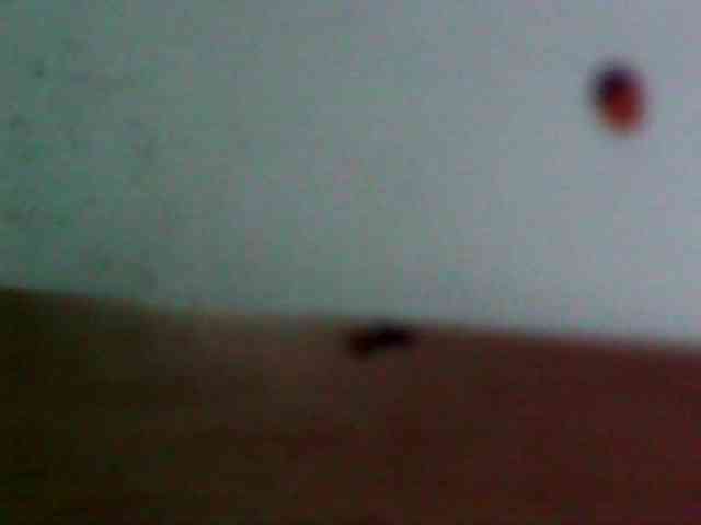 Cristalvip webcam