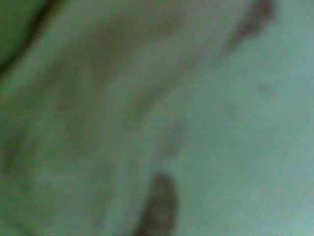 Modelo: Cristalvip