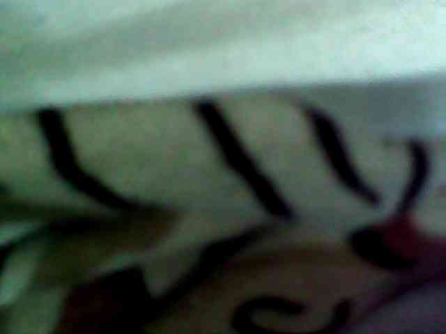 Cristalvip webcam