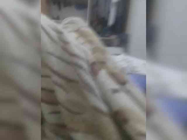 Cristalvip webcam