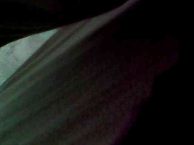 Cristalvip webcam