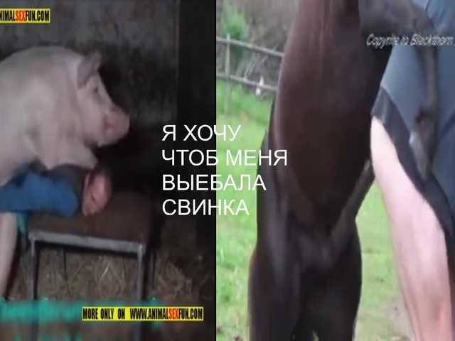 ZlataMurz