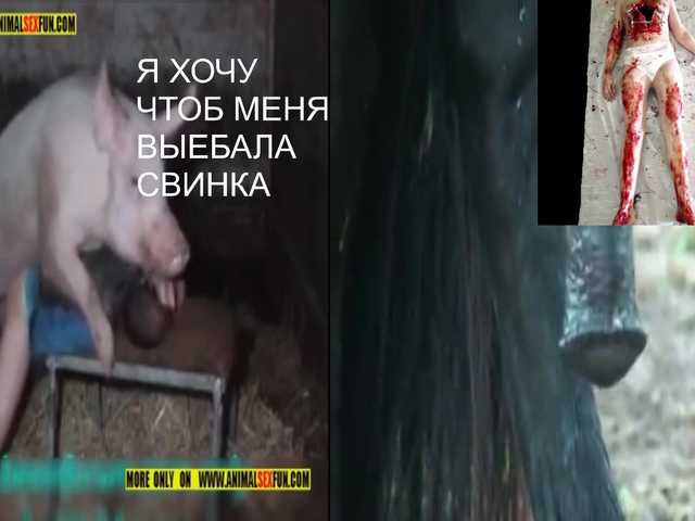 ZlataMurz