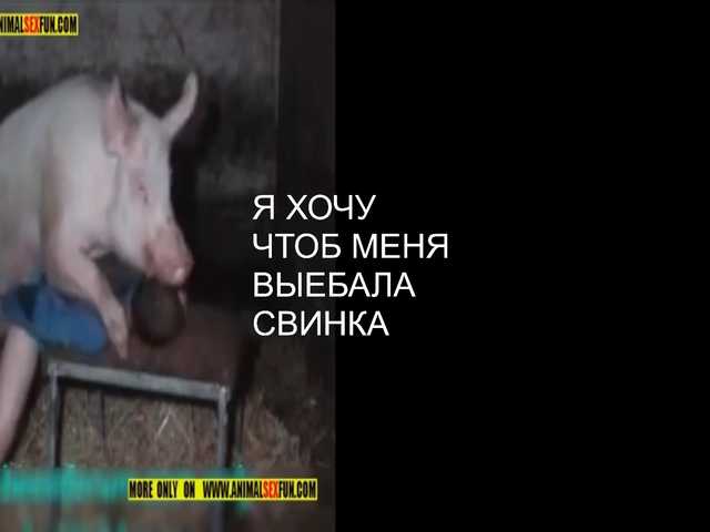 ZlataMurz