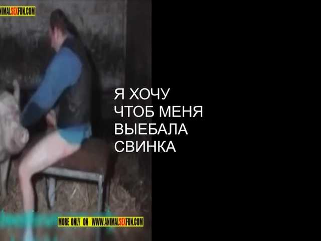 ZlataMurz