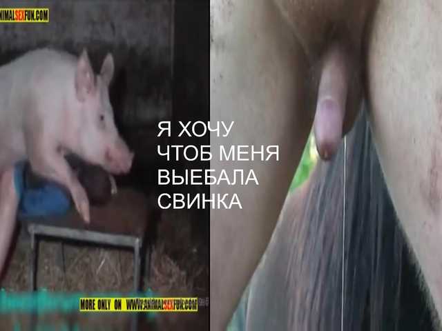 ZlataMurz
