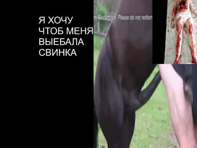 ZlataMurz