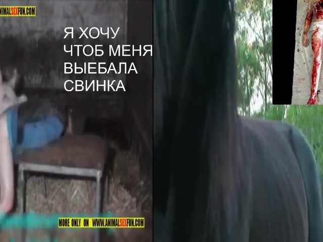 ZlataMurz
