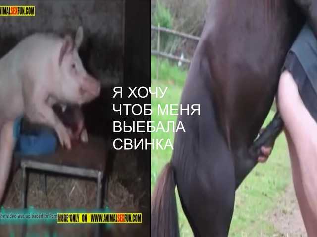 ZlataMurz live cam on BongaCams