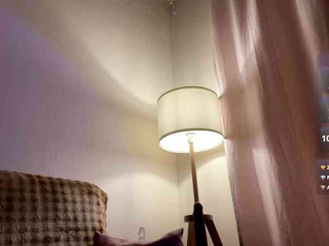 RallyFlower webcam