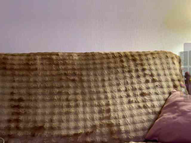 RallyFlower webcam
