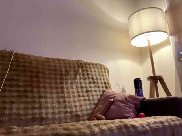 RallyFlower webcam