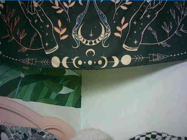 uwu-emmy webcam