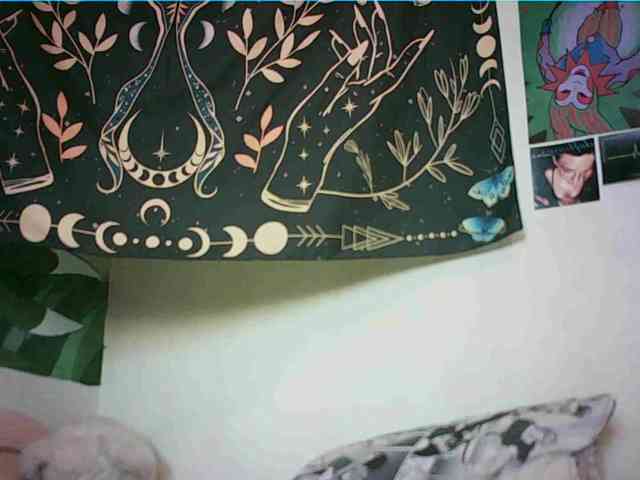 uwu-emmy webcam