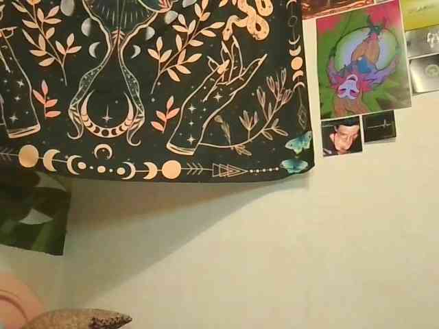 uwu-emmy webcam