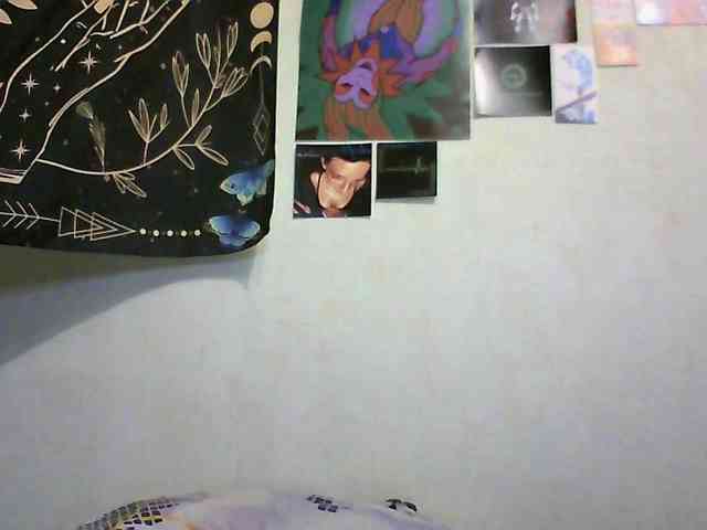 uwu-emmy webcam